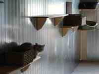 Intérieur du box commun chats